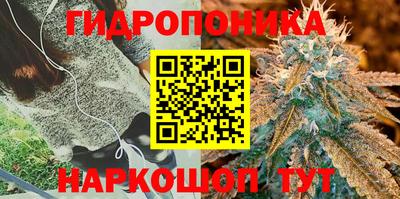 дмт Уссурийск